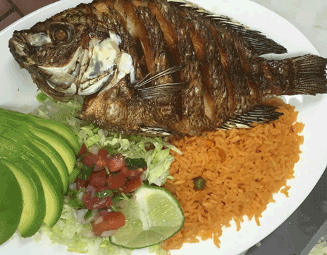 Las_Margaritas_Mexican_Restaurant_Franklin_North_Carolina_Fish