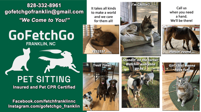 Go_Fetch_Go_Franklin_North_Carolina_Pet_Sitting_2023_ad