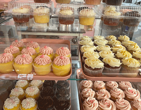 renees_cake_shoppe_cupcakes_franklin_north_carolina
