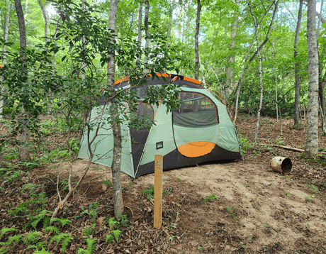 cowee_campground_franklin_north_carolina_green_tent_site