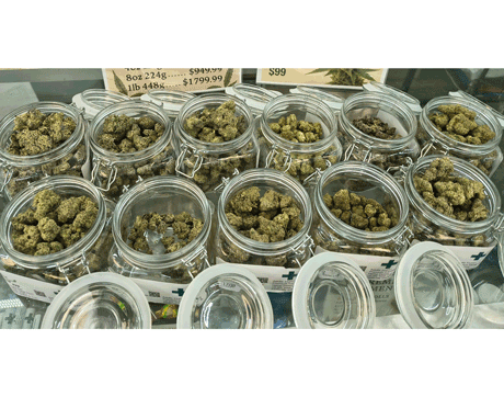 CBD_Franklin_North_Carolina_The_Green_Leaf_828 CBD_Franklin_North_Carolina_The_Green_Leaf_828