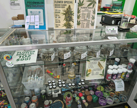 The_Green_Leaf_828_Flower_buds The_Green_Leaf_828_Flower_buds