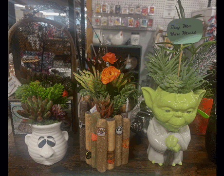 Fun_teacher_appreciation_mothers_day_hostess_gifts_Franklin_Norh_Carolina_Corduroys_Treasures Decorative display of three planters on a store shelf: a panda-faced pot with succulents, a cork-tube planter with orange flowers, and a green Yoda bust holding a 'Buy Me' sign.